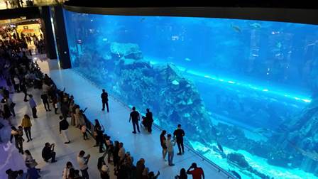 Dubai Aquarium