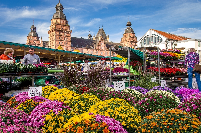 Aschaffenburg - Wochenmarkt
